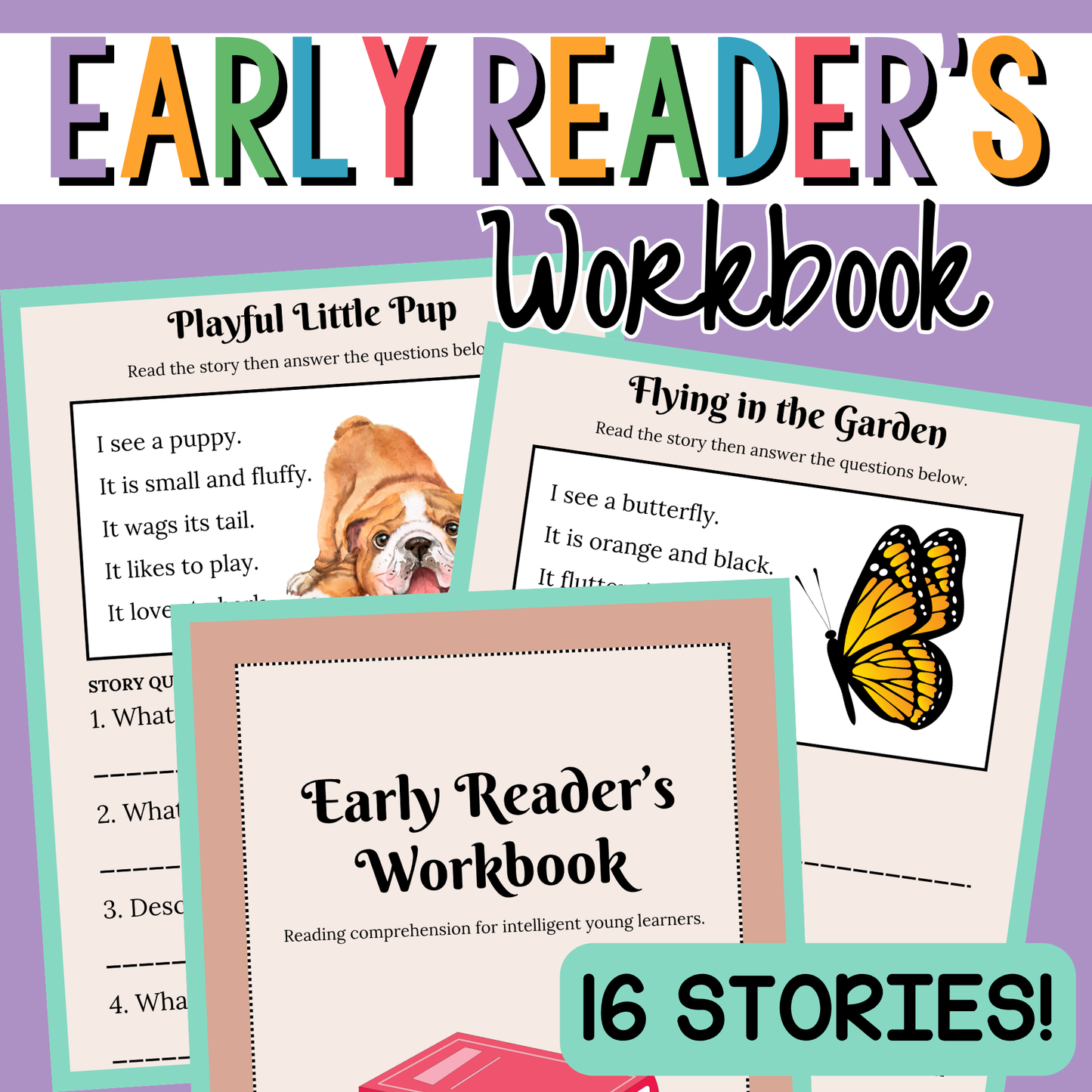 Early Reader's Workbook