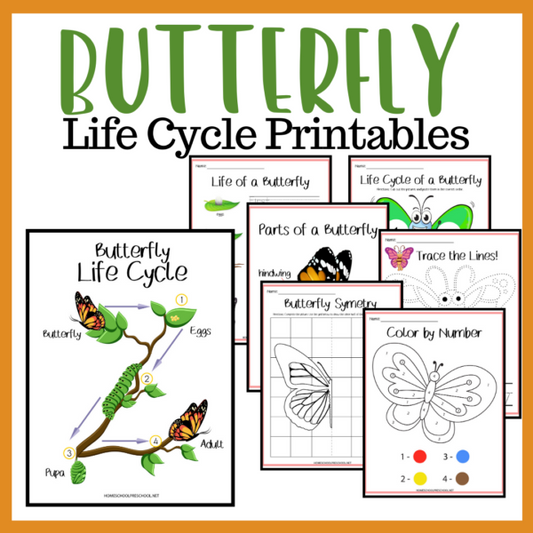 Life Cycle of a Butterfly